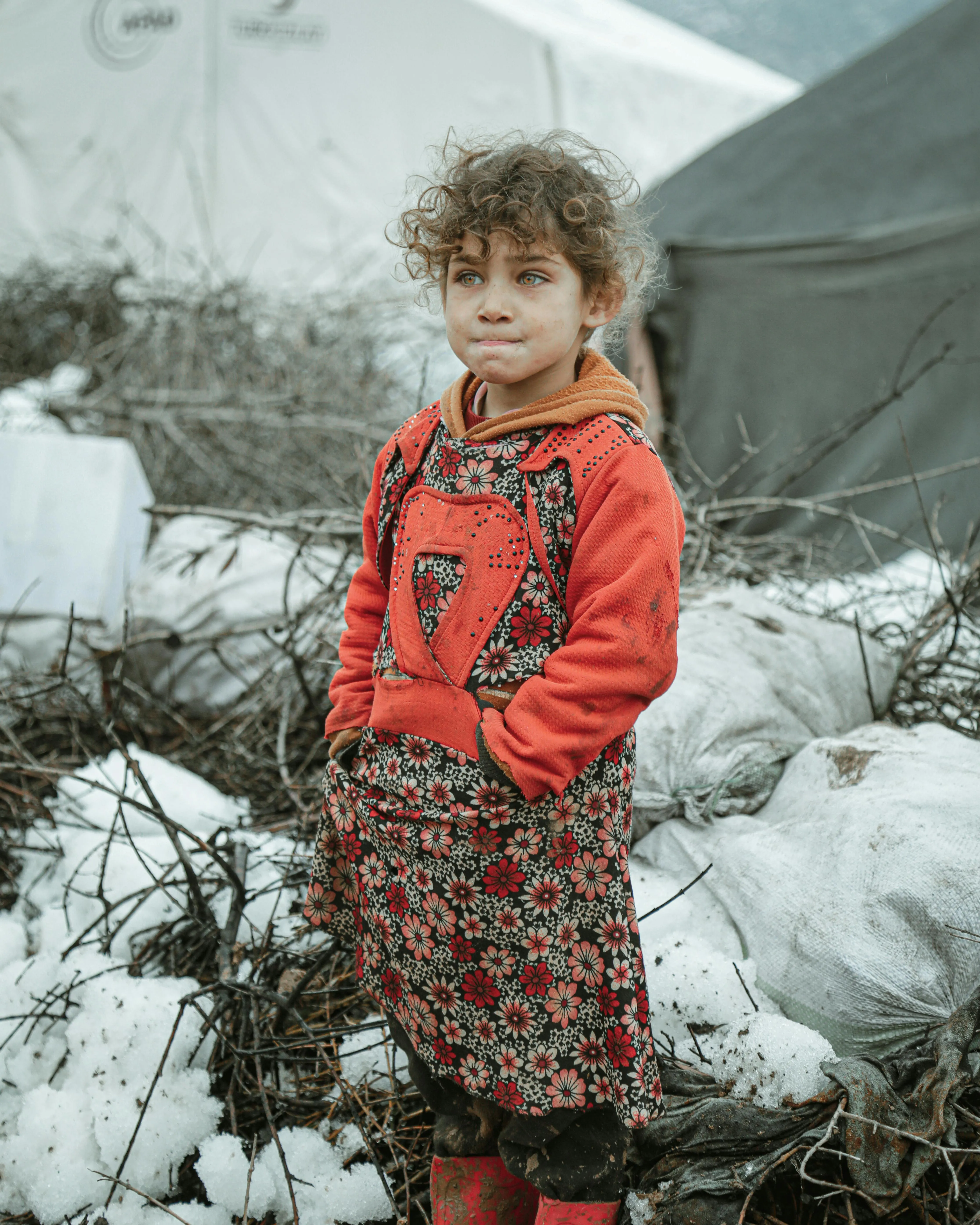 Noor Aldin Alwan on Pexels