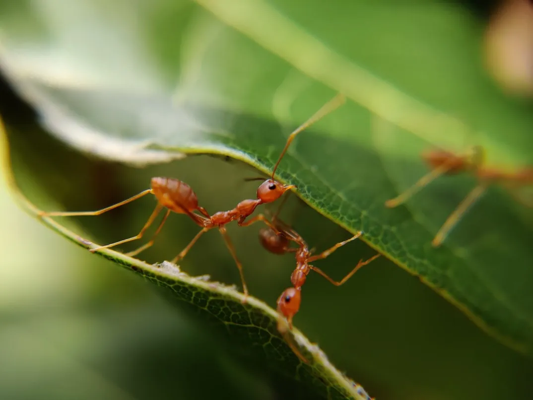 MD_JERRY on Unsplash