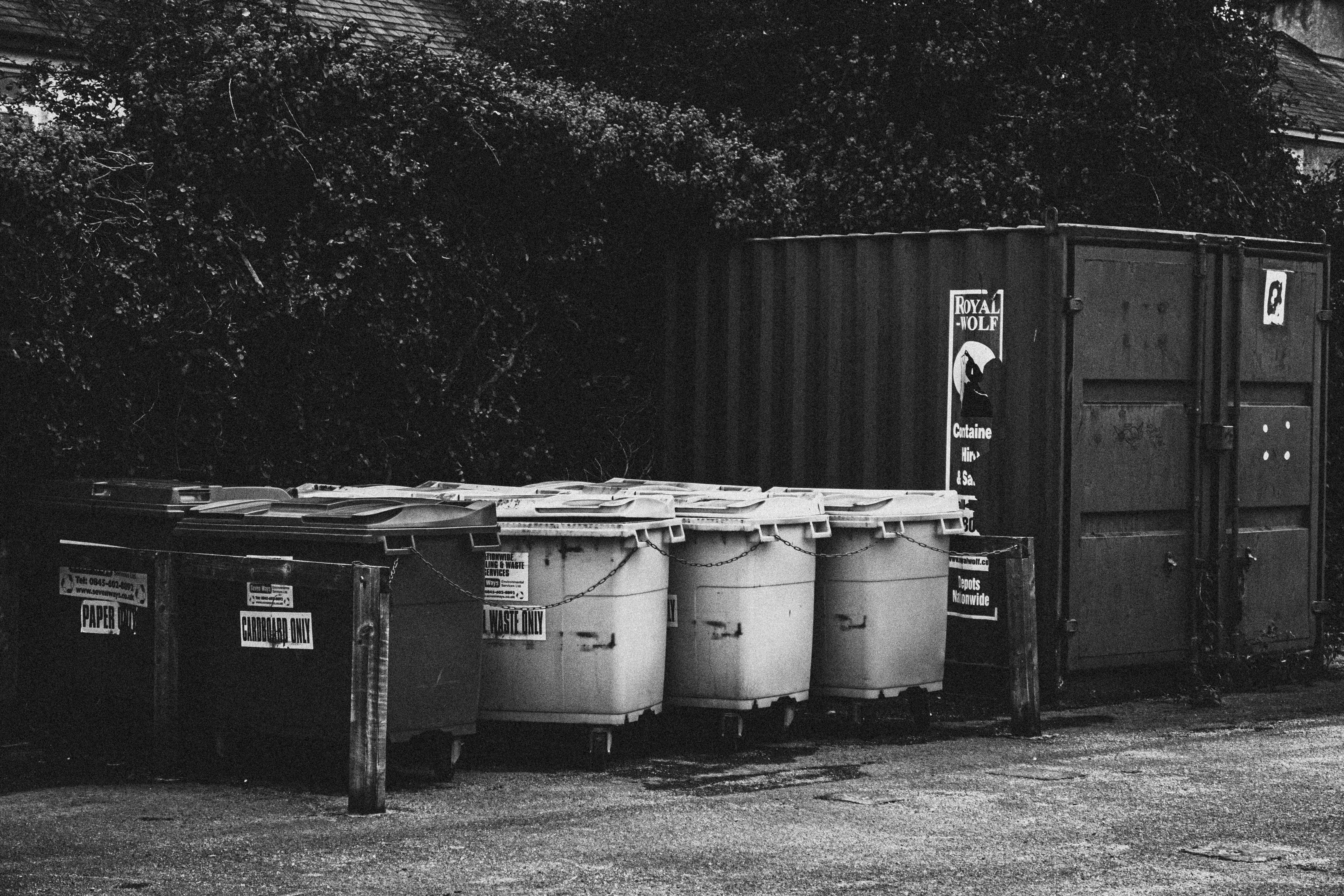 Lisa from Pexels on Pexels