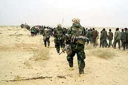 Image from Wikipedia 