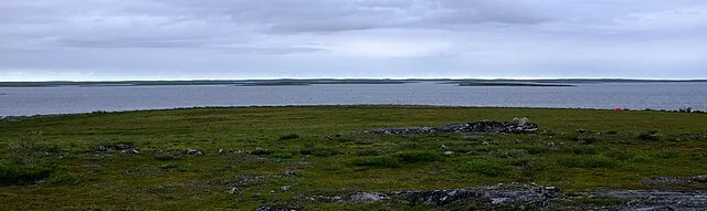 Wikicommons