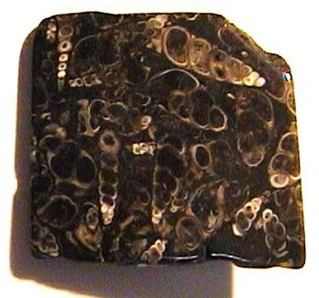 ejnar on wikimedia
