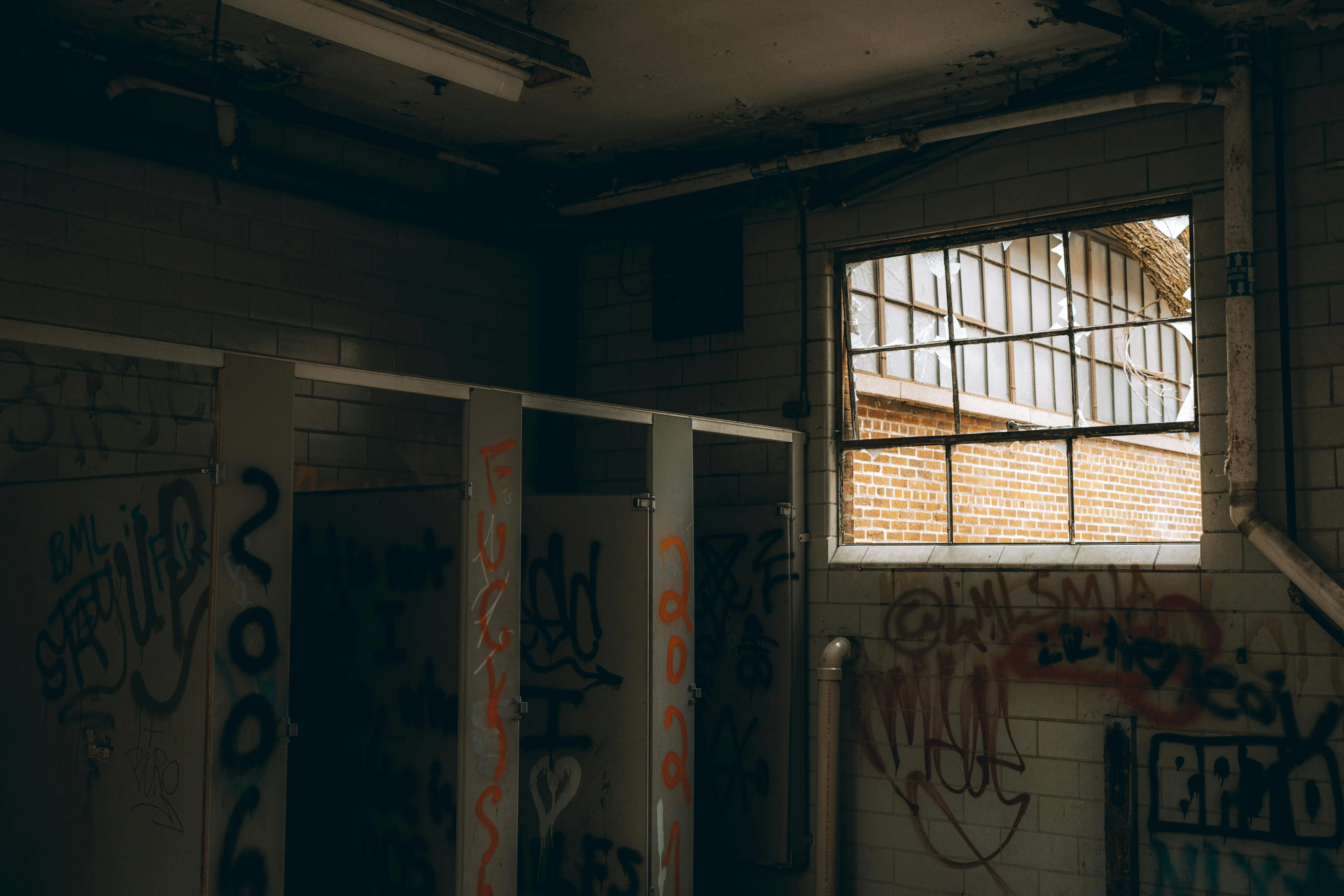 Mike Norris on Pexels