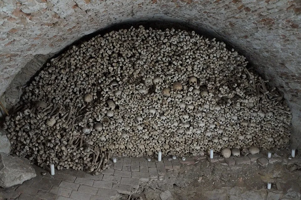 Kiwiev on Wikimedia Commons