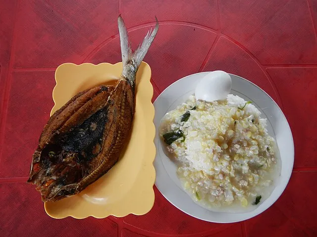 Judgefloro on Wikimedia Commons