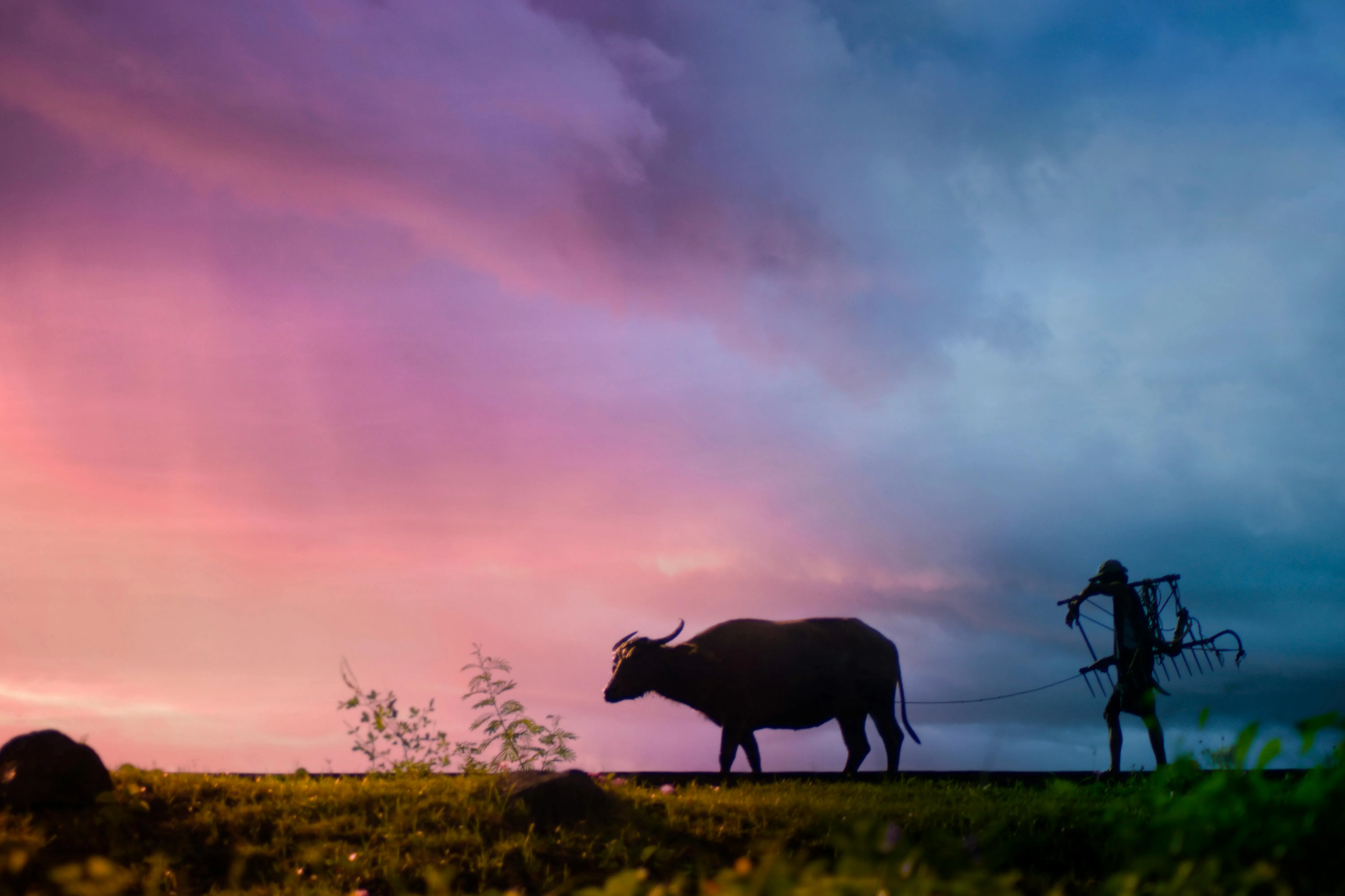 15 Traditional Farming Methods Used for Centuries