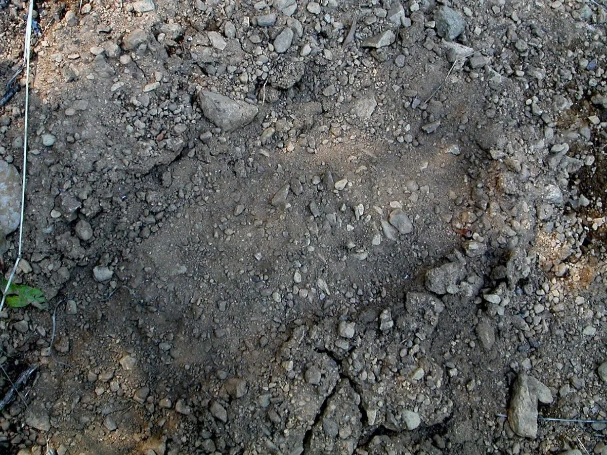 DSCN0505 on Wikimedia Commons