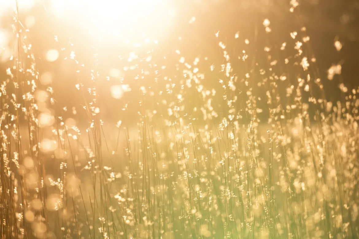 Kent Pilcher from Unsplash