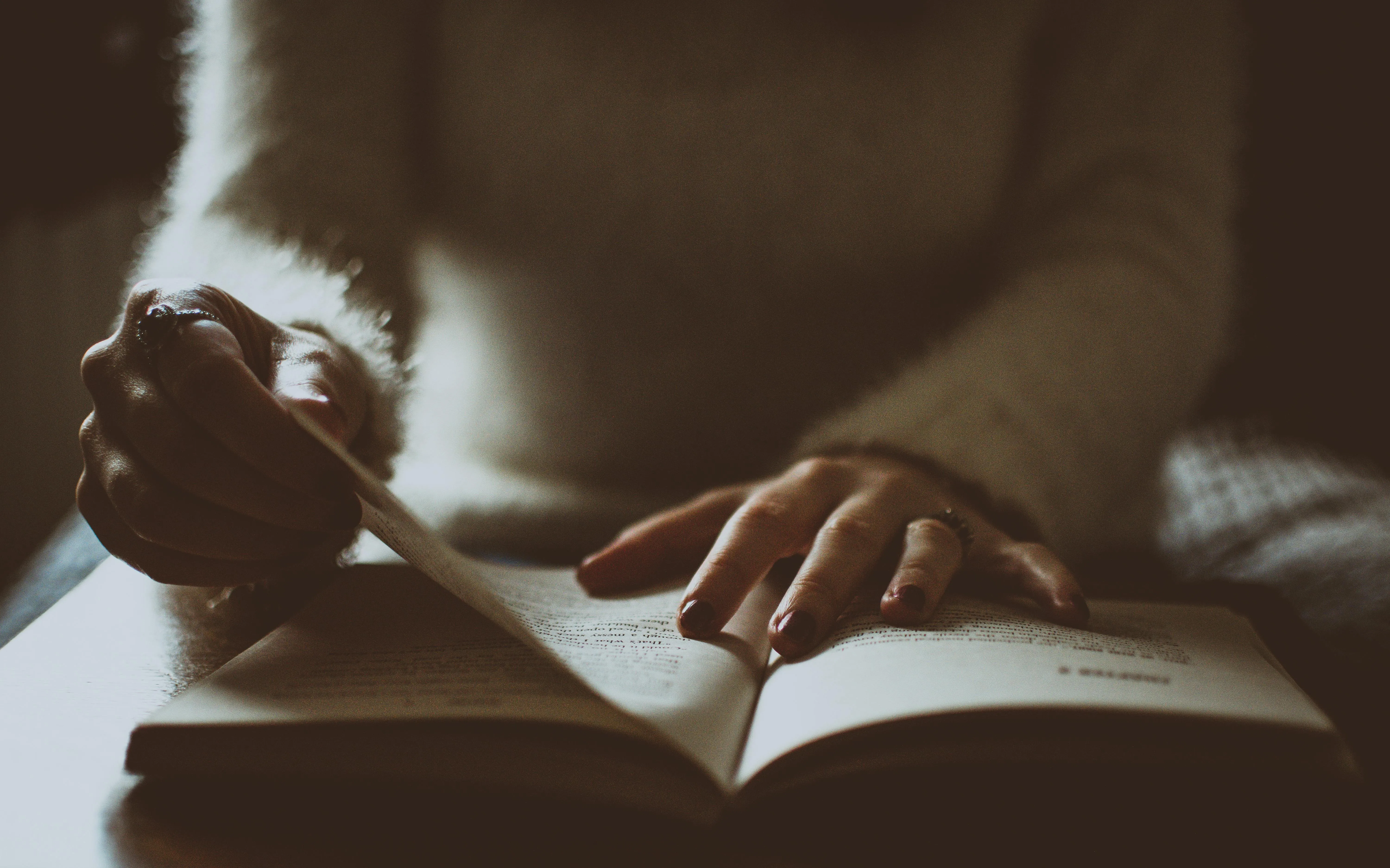 Lisa from Pexels on Pexels