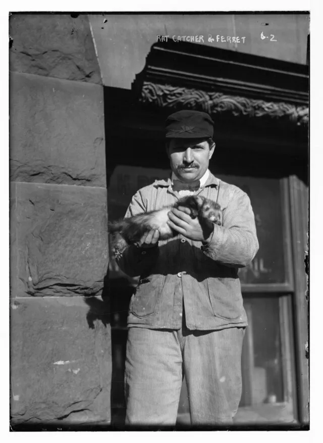 Bain News Service, publisher on wikimedia