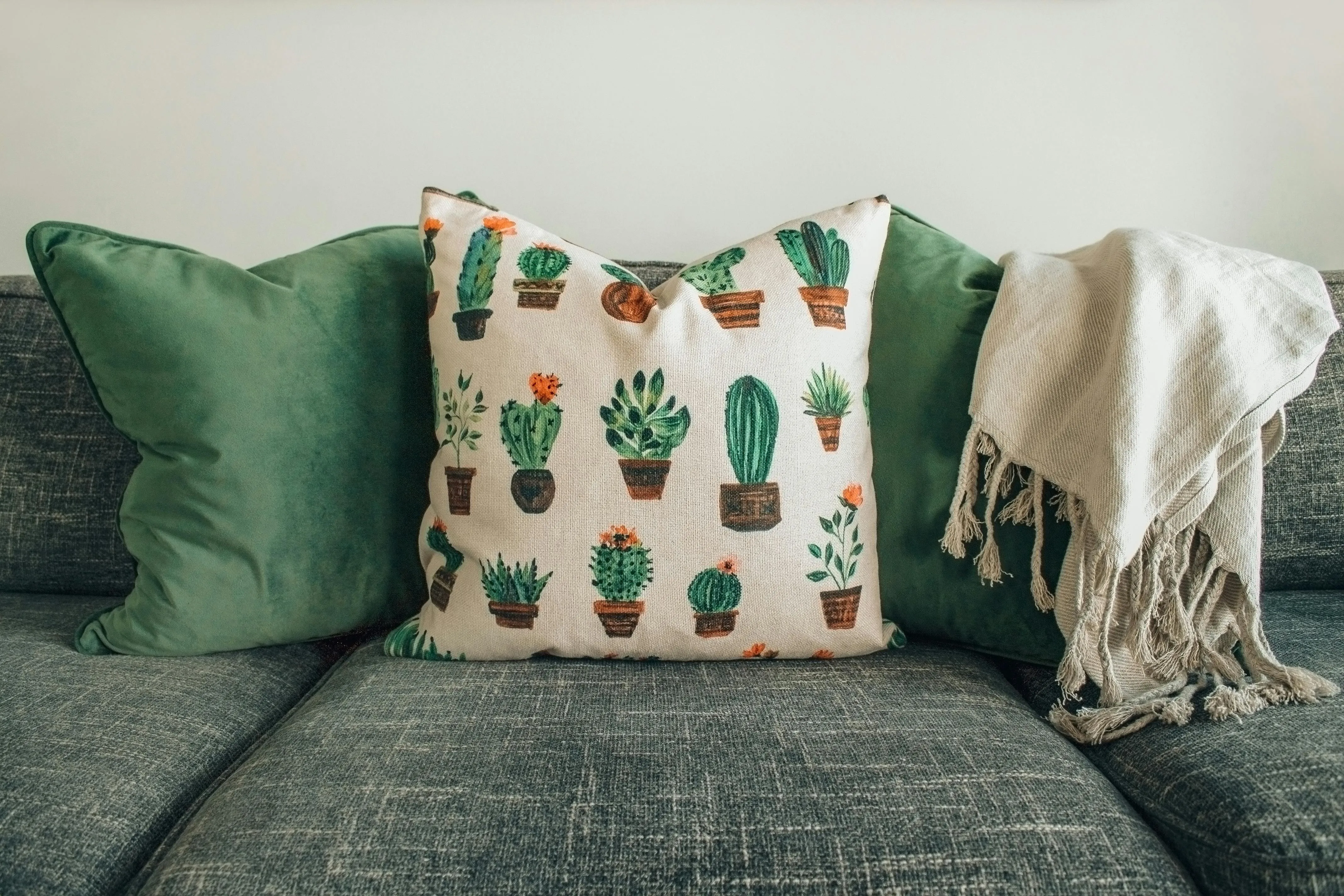 Designecologist on Pexels