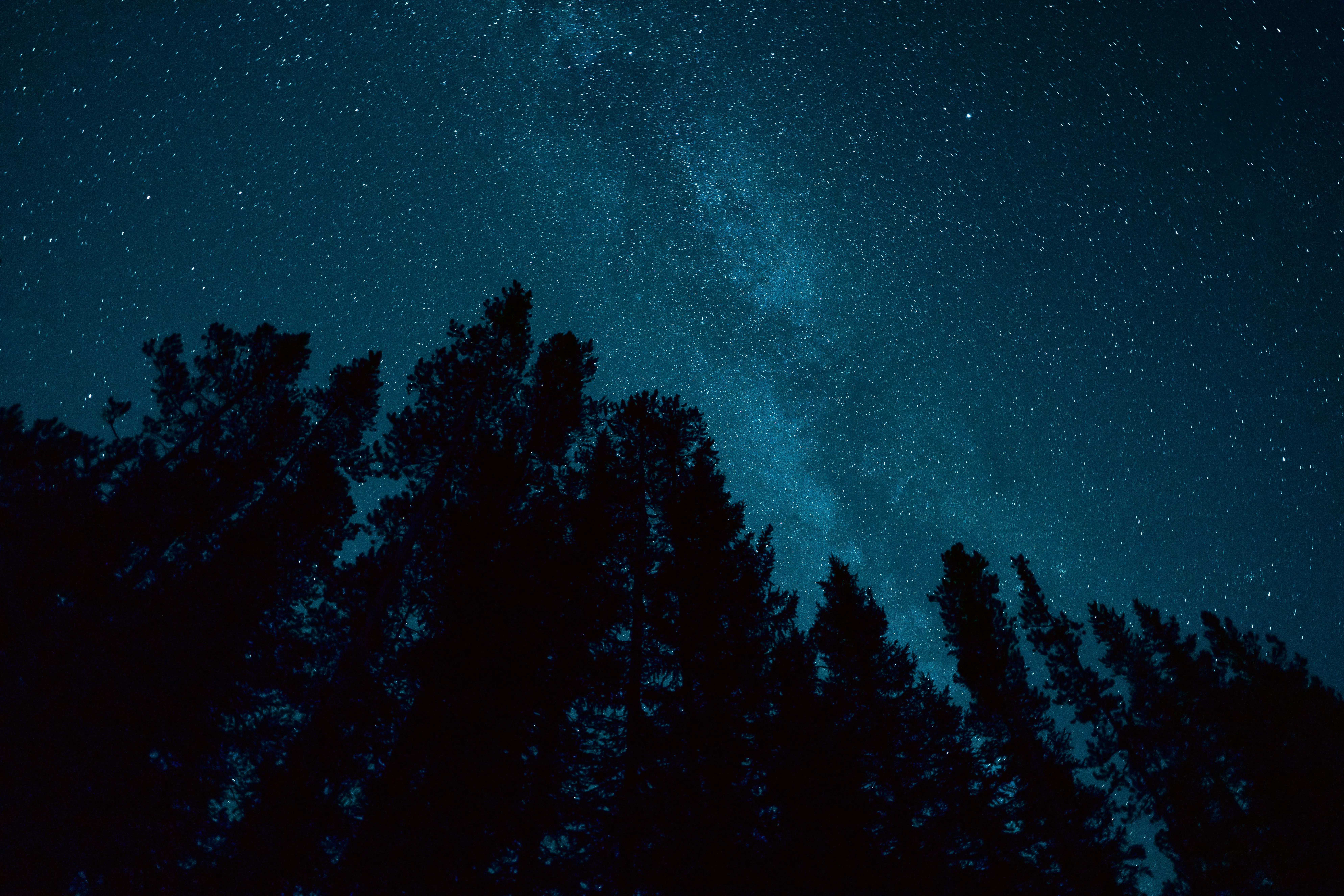 Joshua Woroniecki on Pexels