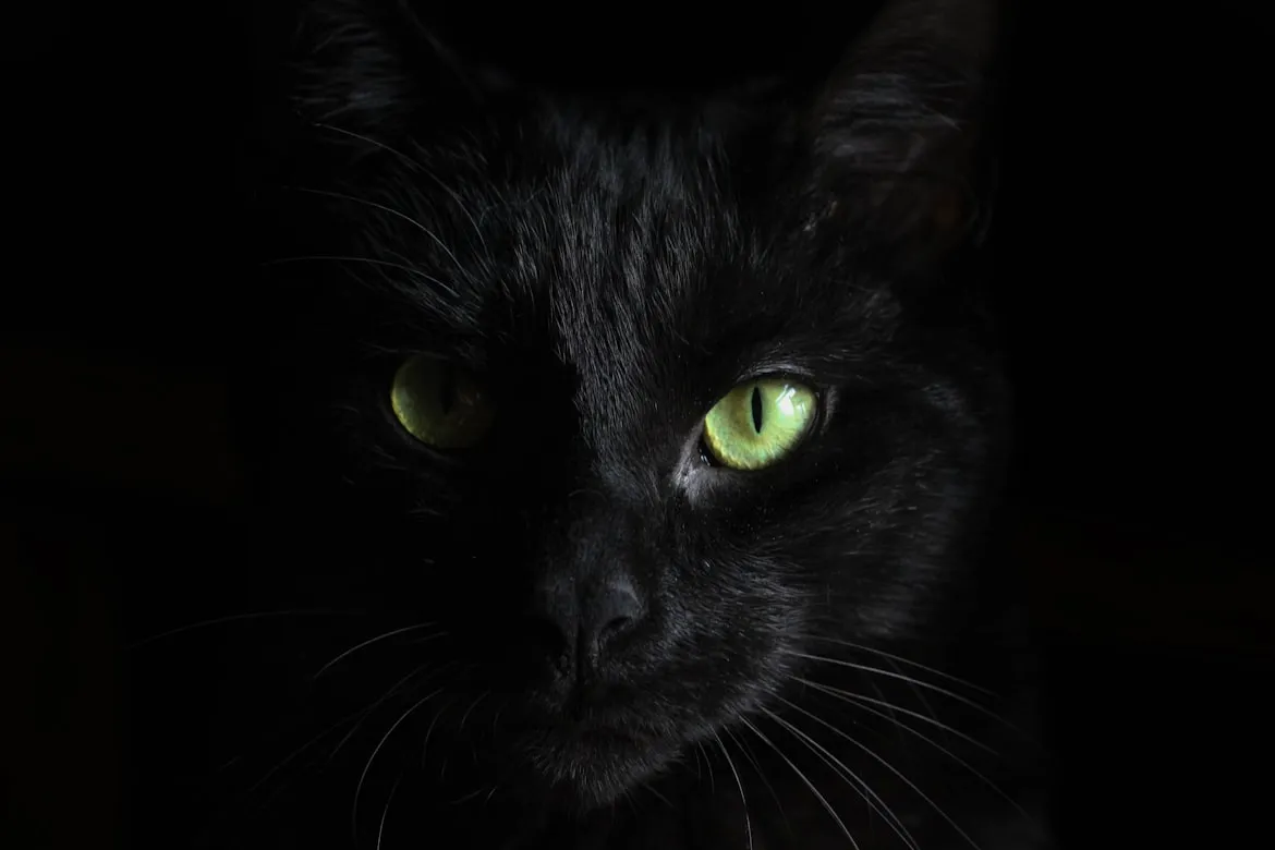 Hannah Troupe from Unsplash