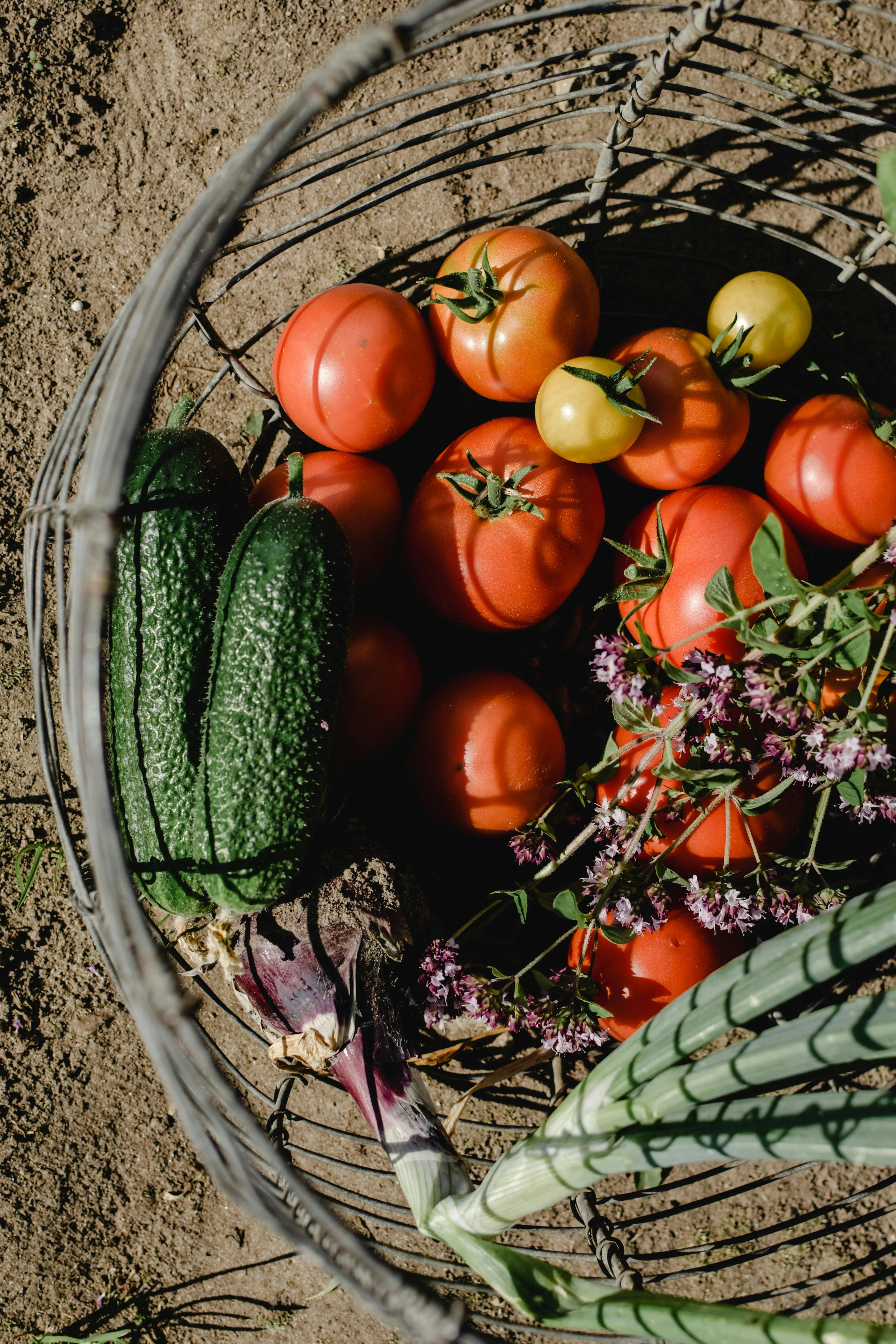 Eva Bronzini on Pexels