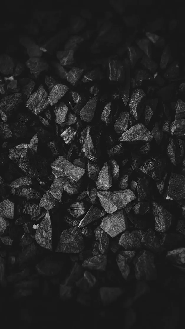 Nick Nice from Unsplash