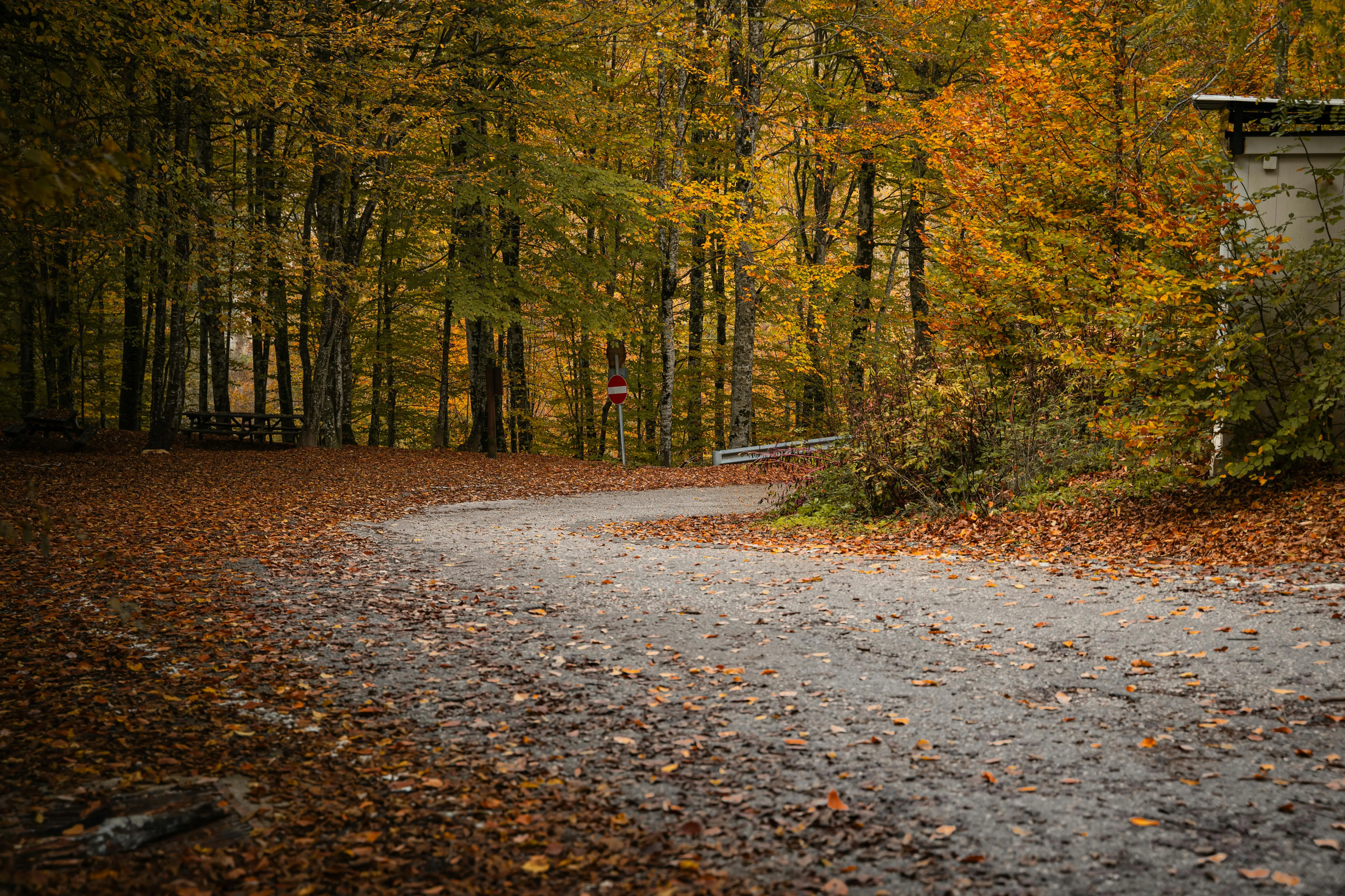 Yasin Onuş on Pexels