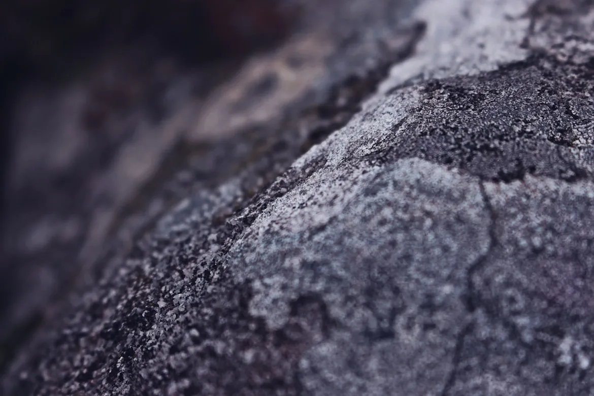 Journeys With Sean from Unsplash