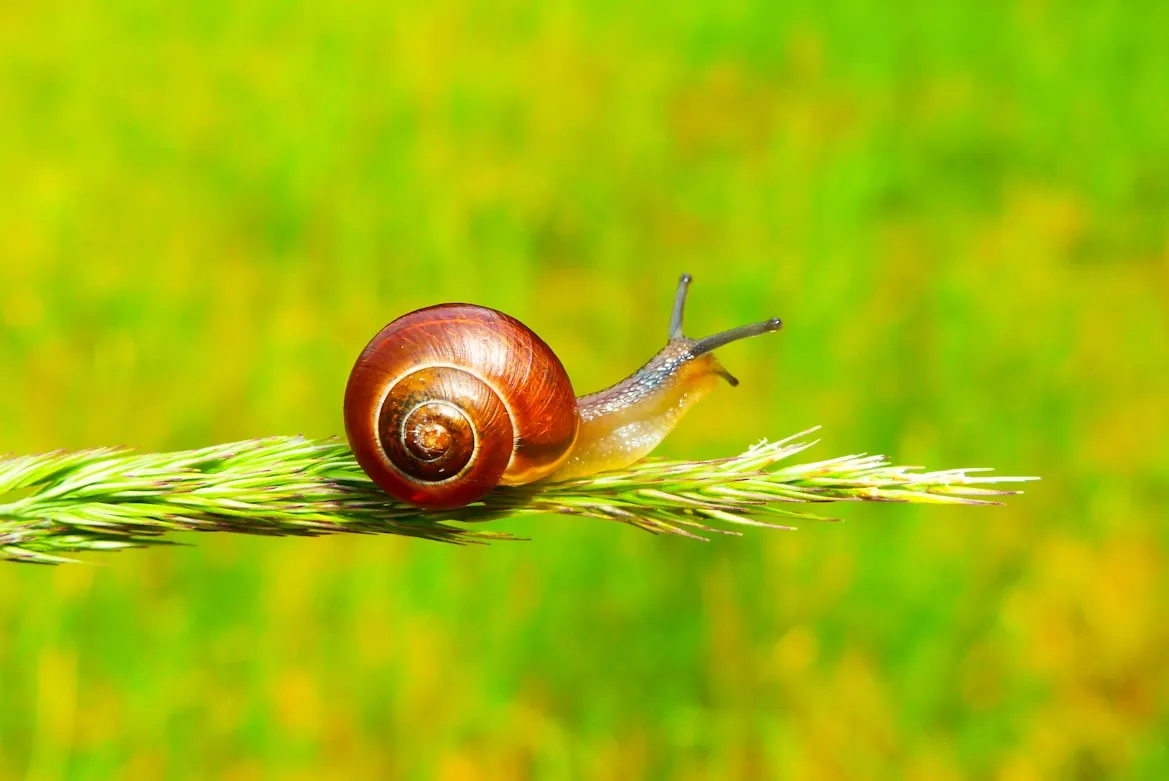 Krzysztof Niewolny from Unsplash