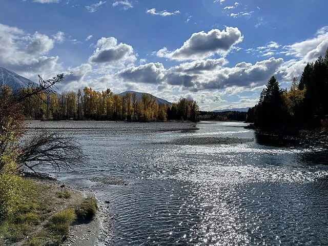 Vulturesong on wikimedia