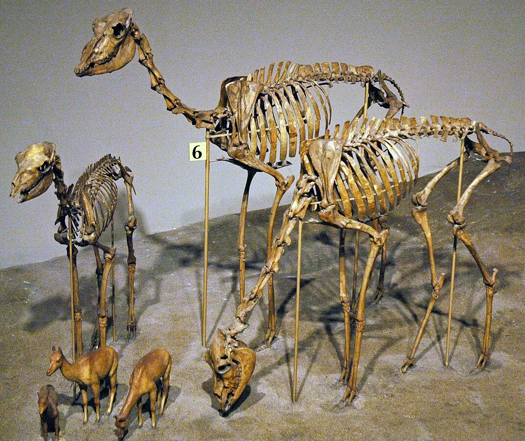 James St. John on Wikimedia Commons