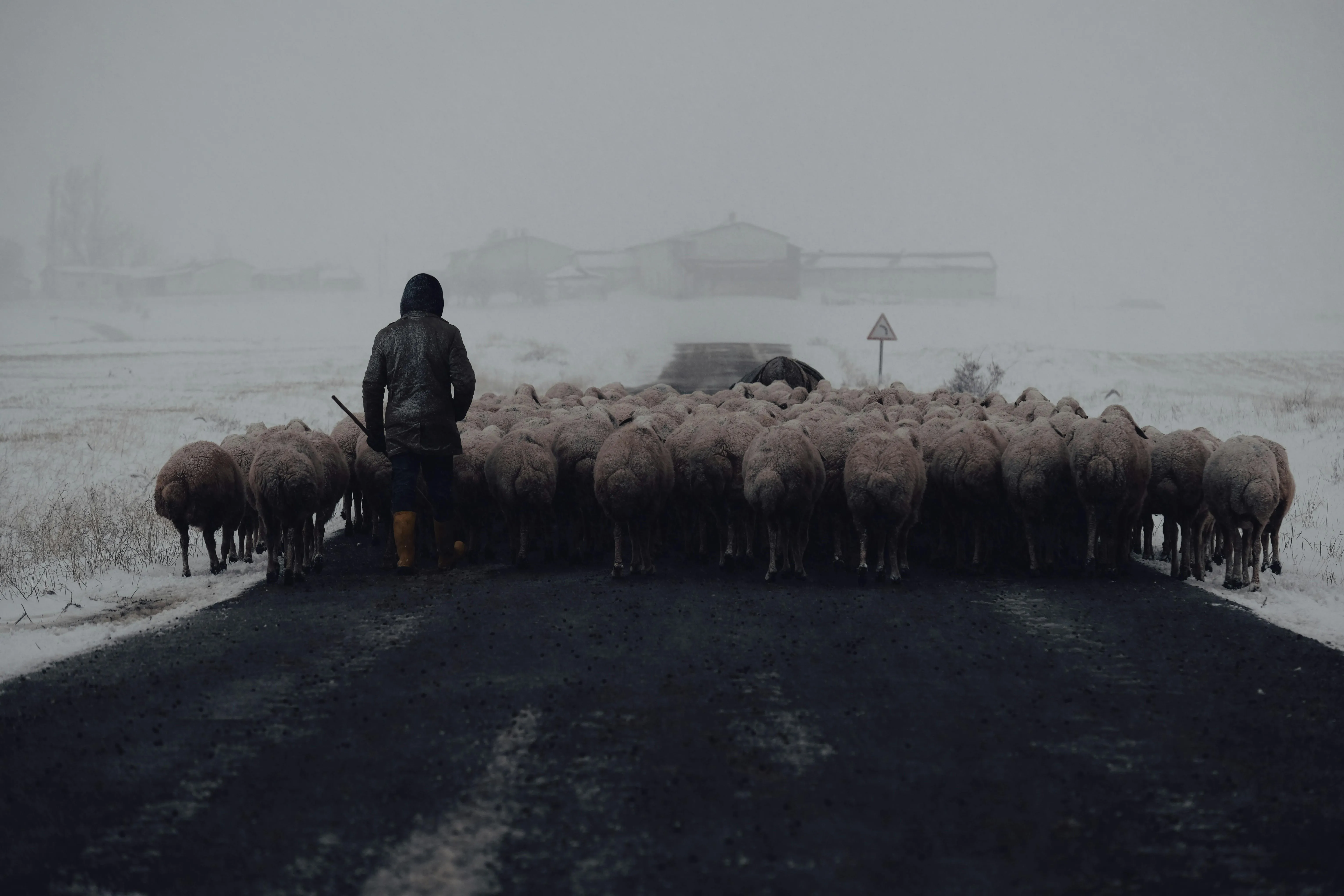 Melih Akkus on pexels