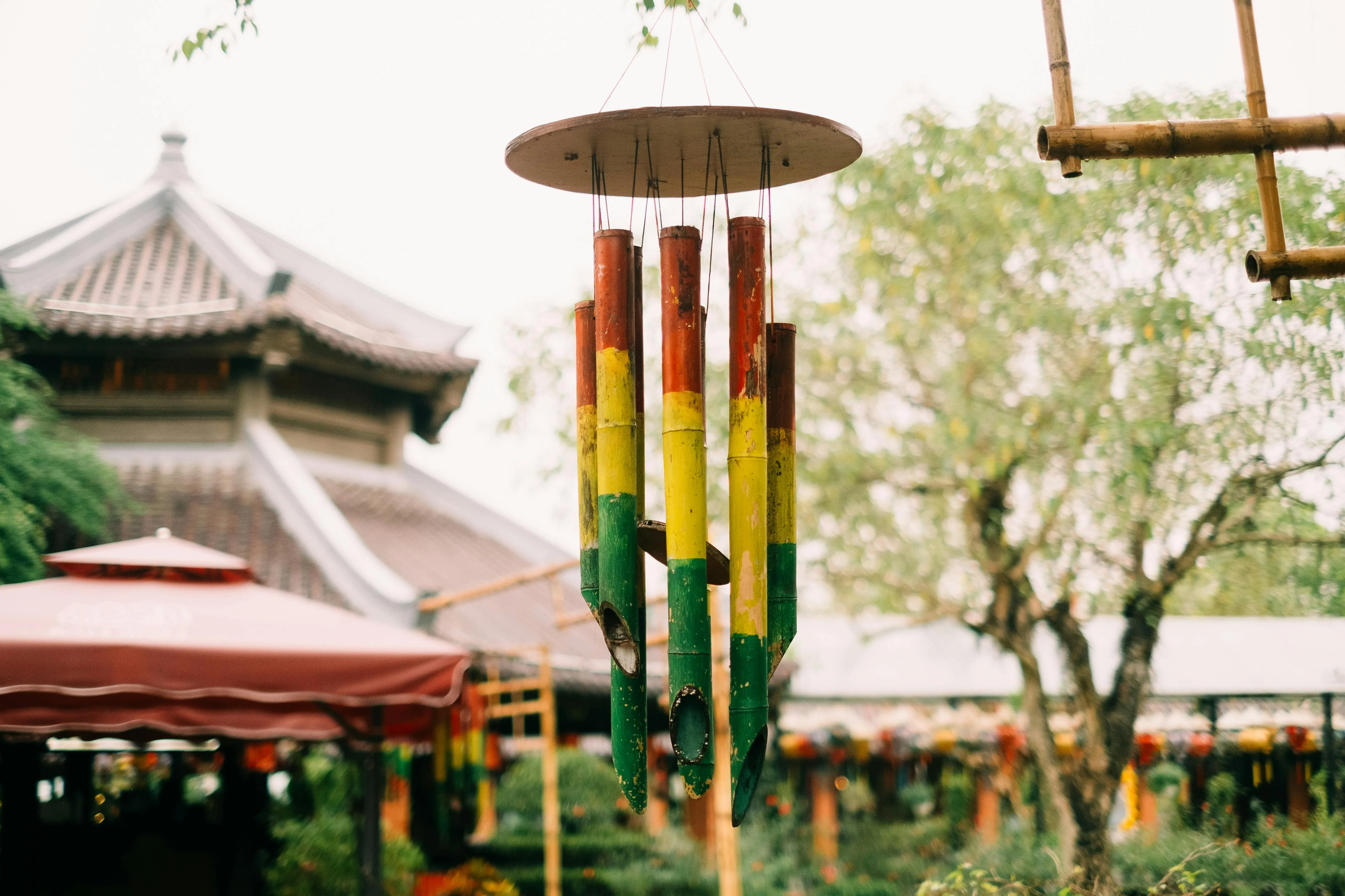 Quý Nguyễn on pexels