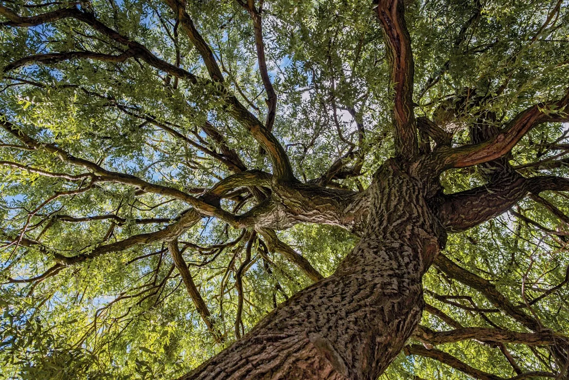 Lucas van Oort on Unsplash