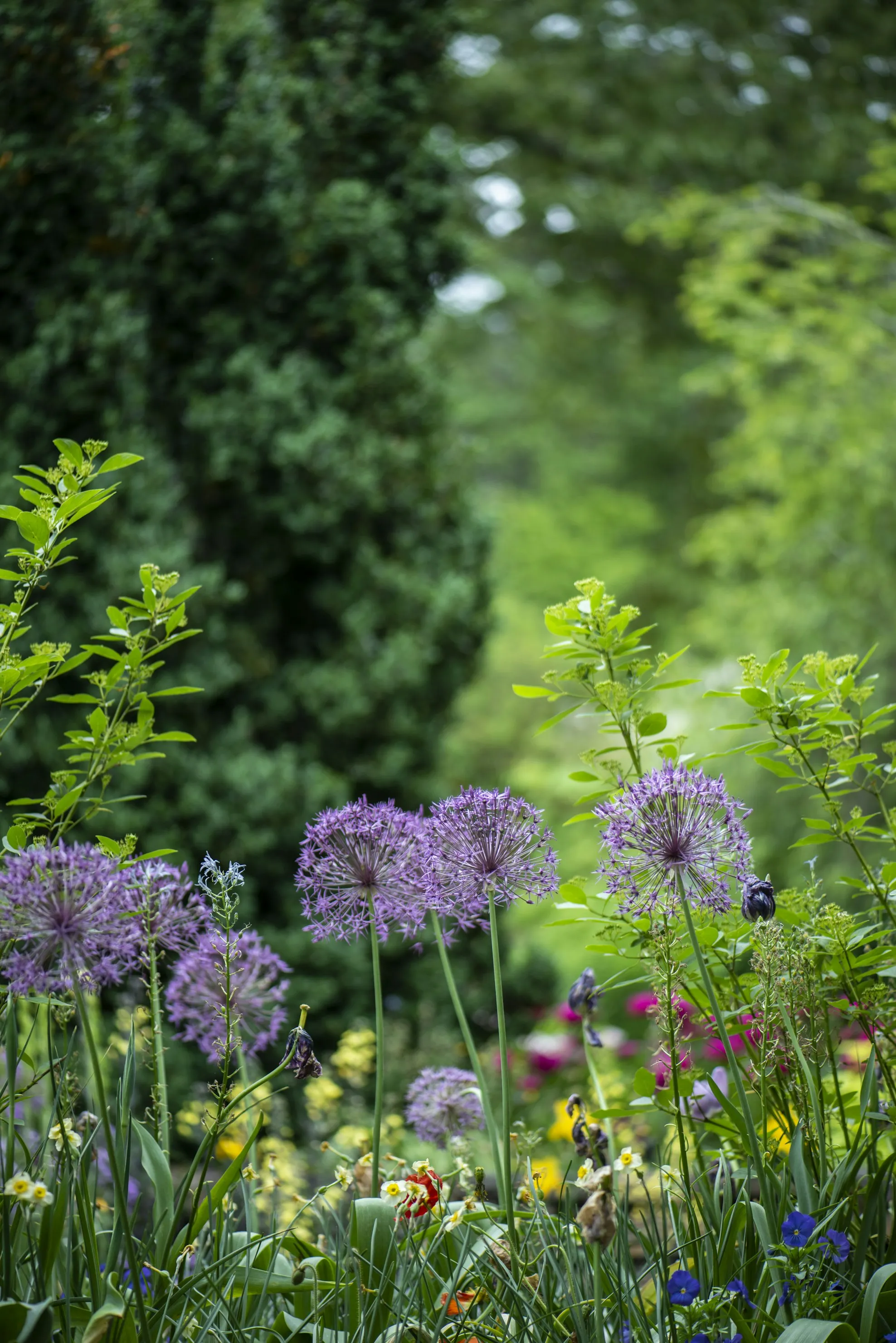 15 Breathtaking Public Gardens Across the U.S. to Explore for National Public Gardens Day