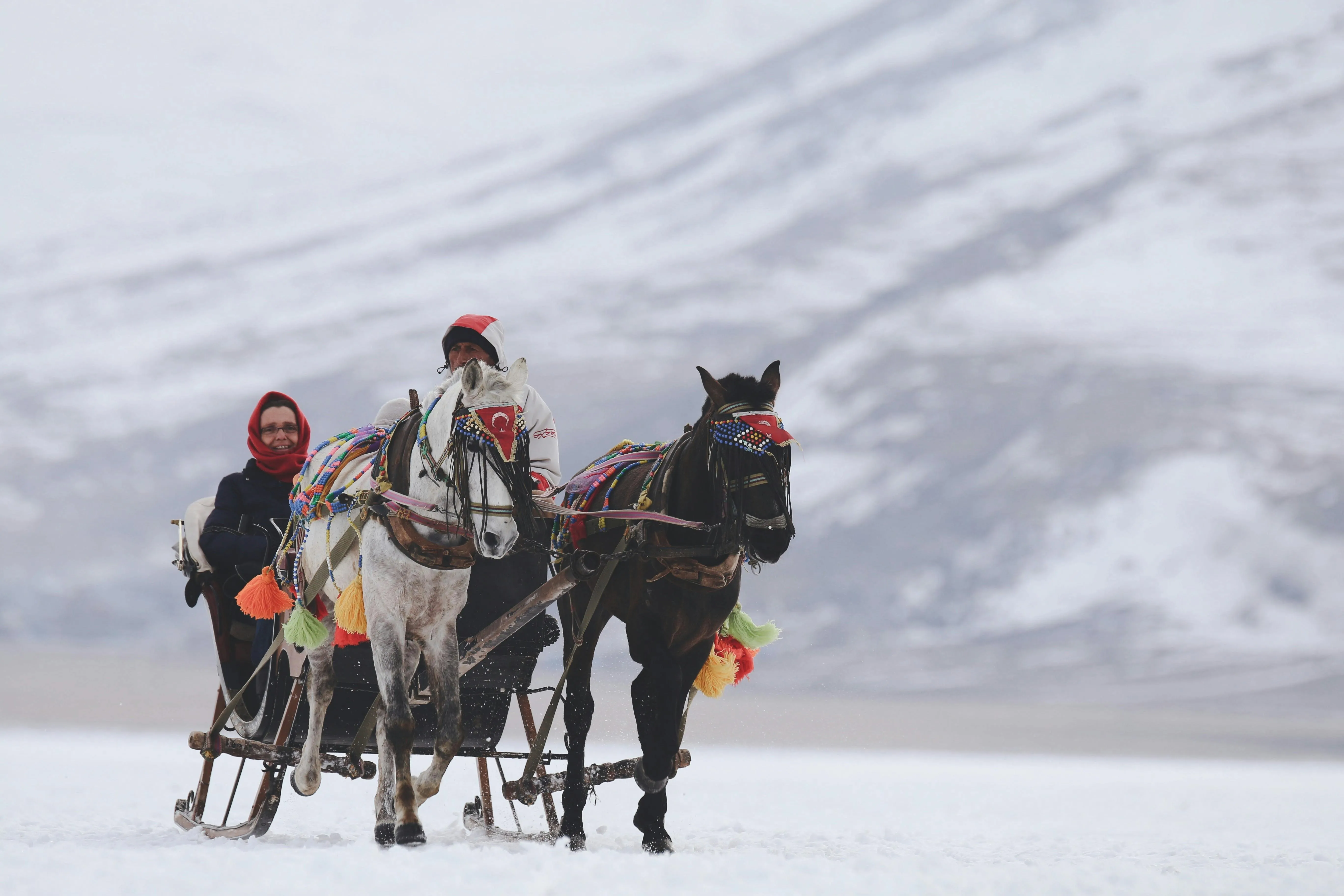 Mehmet Turgut Kirkgoz on pexels