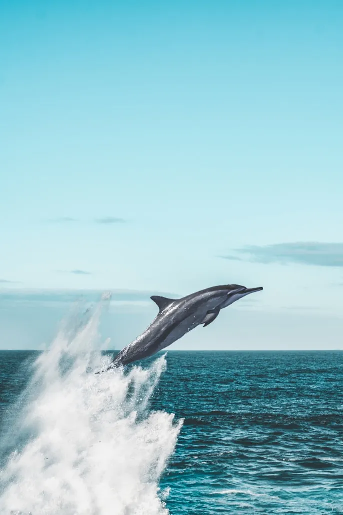 Pagie Page on Unsplash