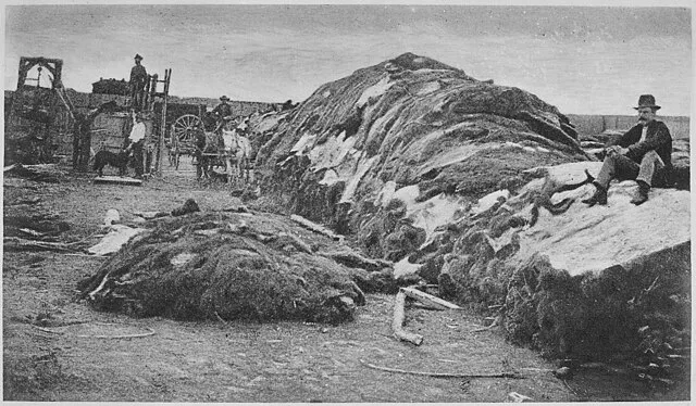 Unknown author or not provided on wikimedia