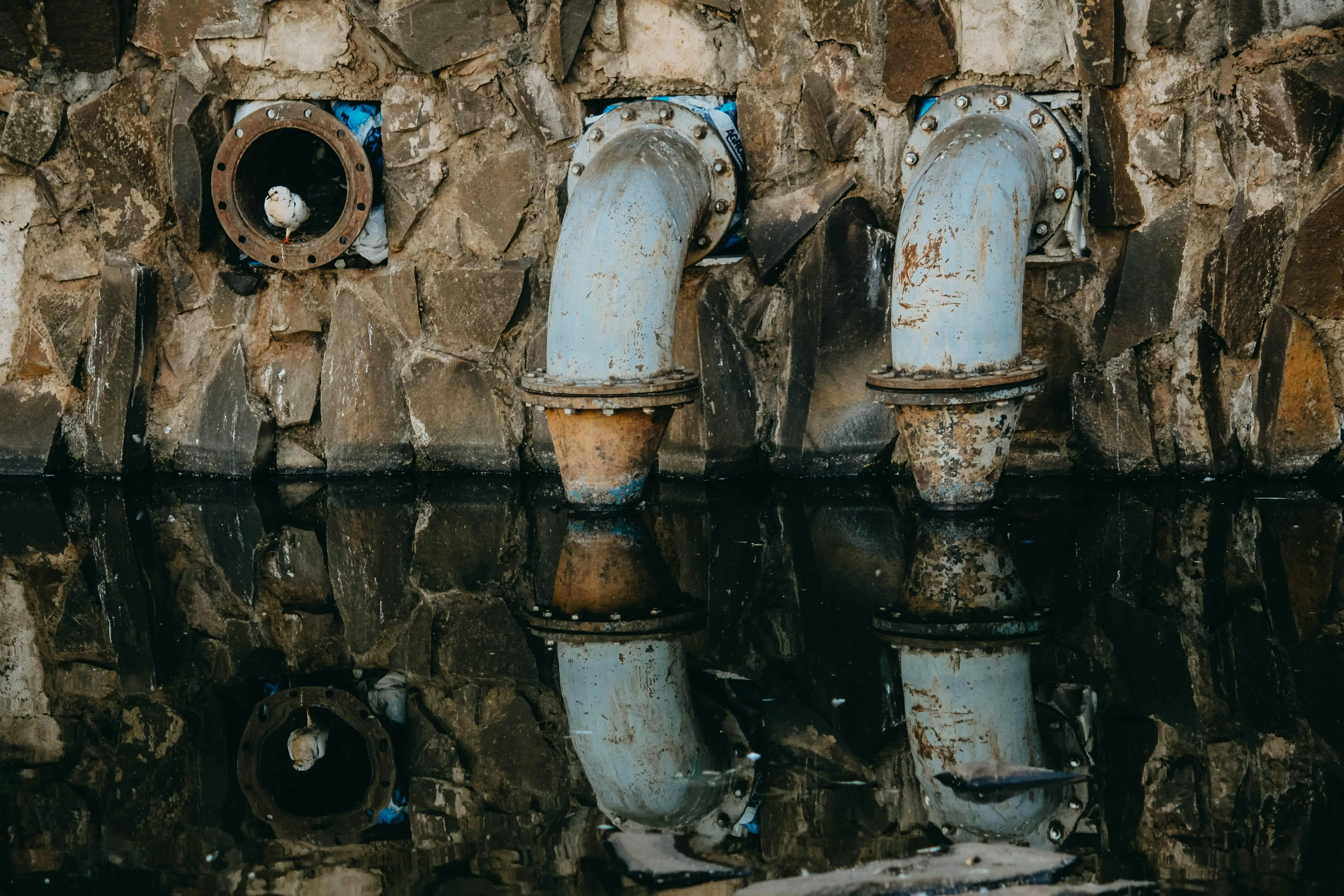 Marcelo Brigato on pexels