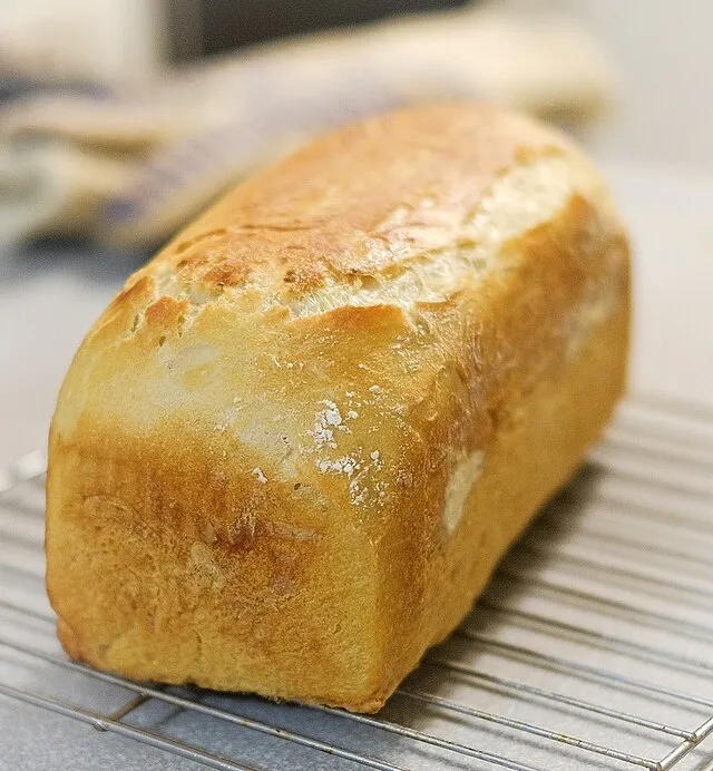 rpavich on Wikimedia Commons 