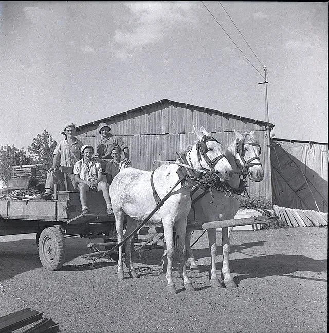 Wikimedia Commons