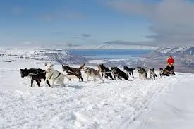 Image from Wildfoot Travel