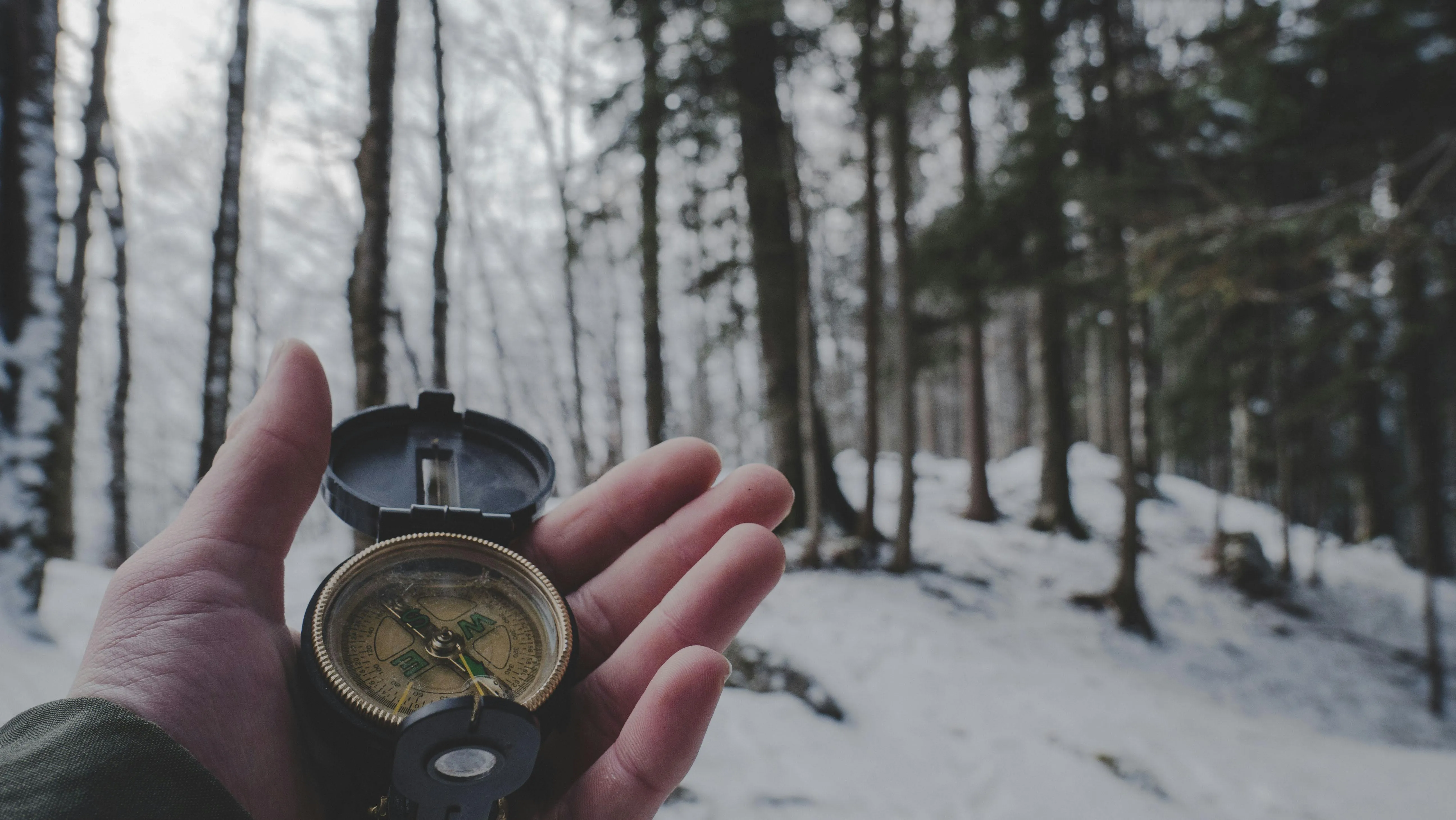 Tobias Aeppli on Pexels