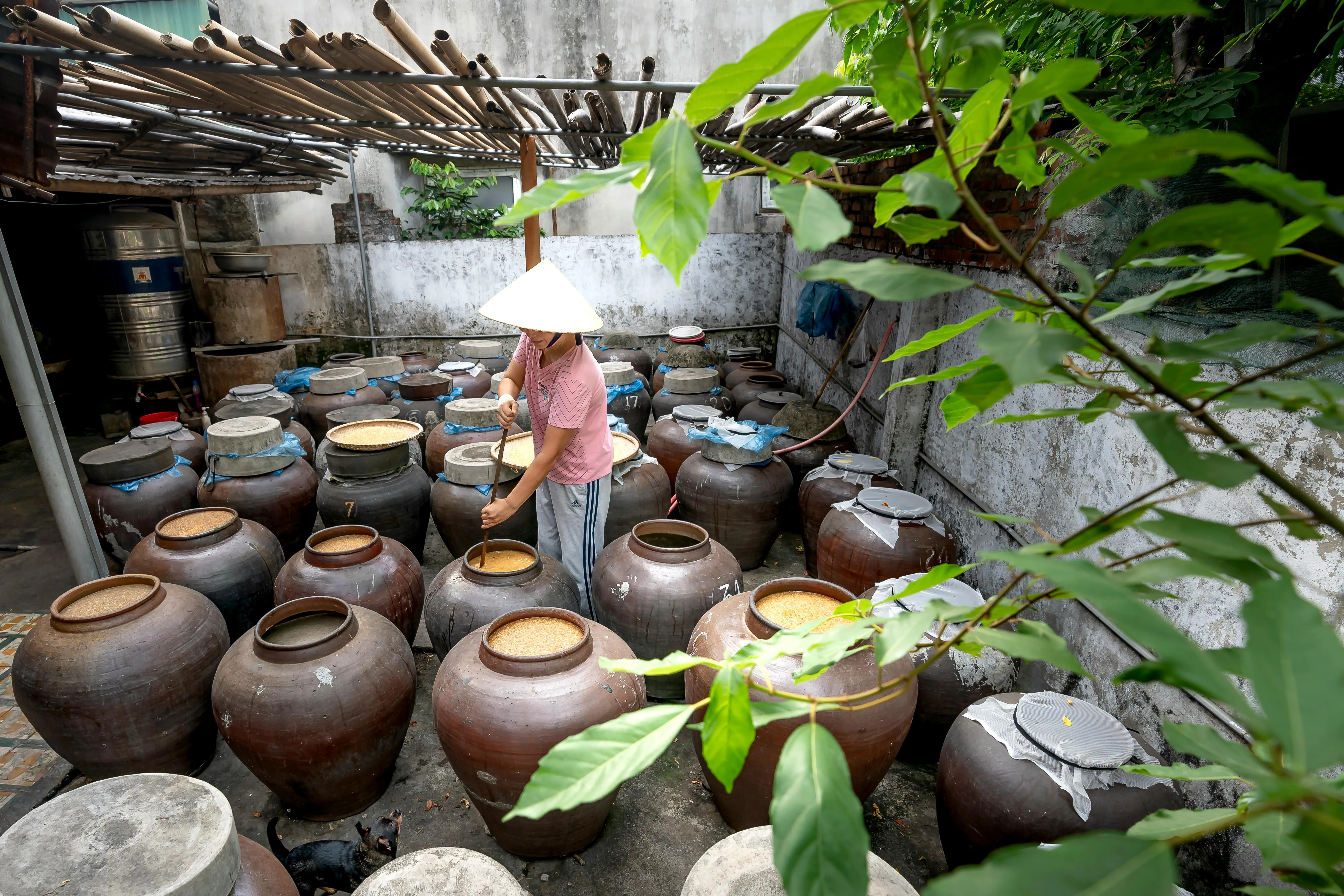 Quang Nguyen Vinh on pexels