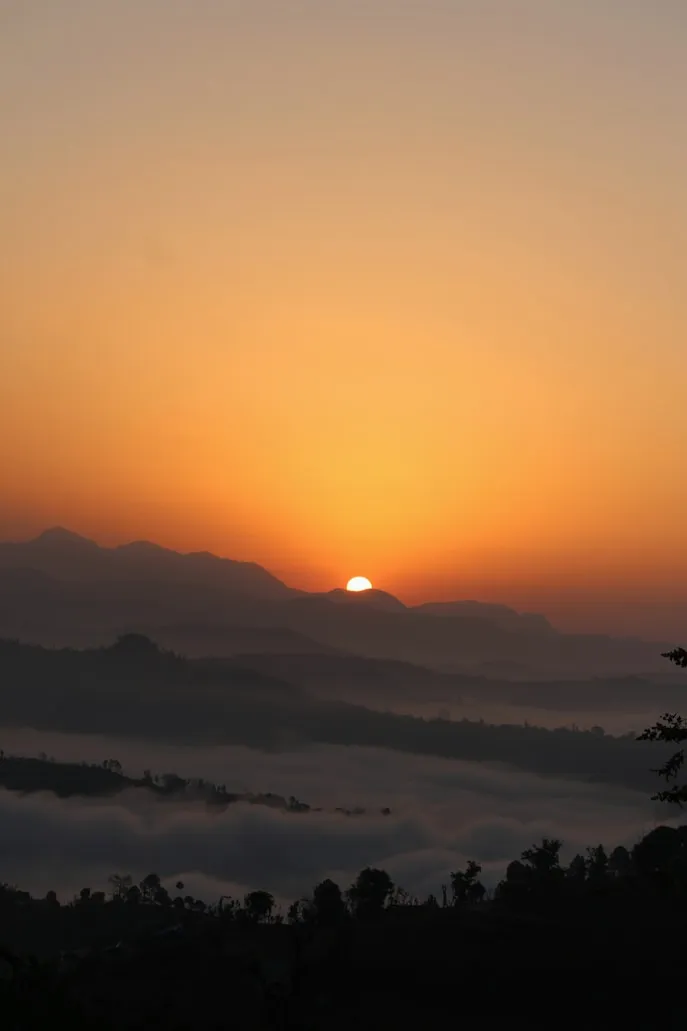 Ravi Sharma from Unsplash