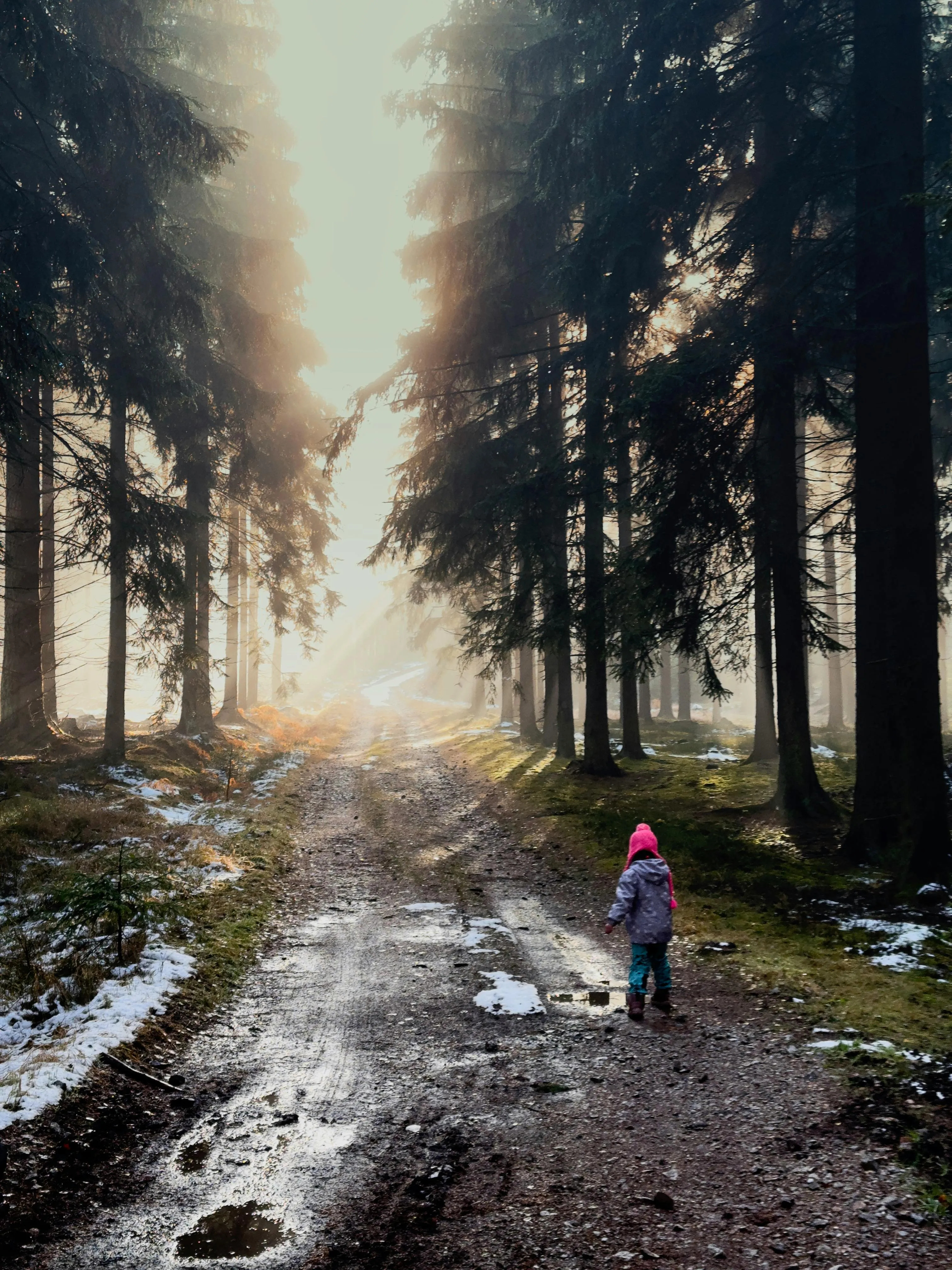 Jan Dvorak on Pexels