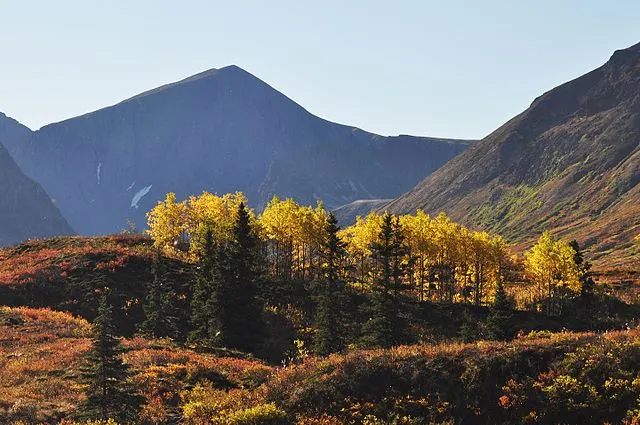 Paxson Woelber on Wikimedia Commons