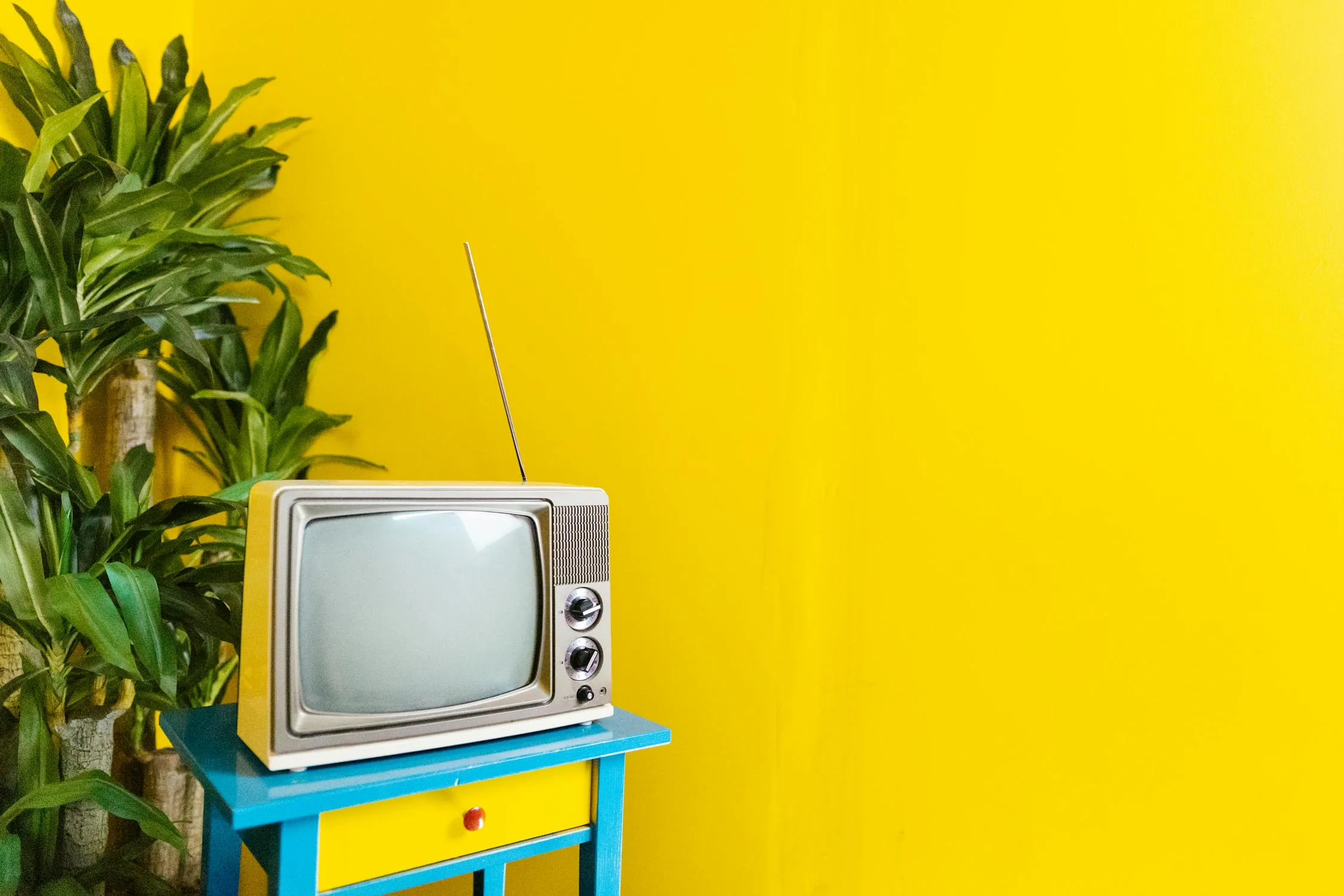 RDNE Stock project on Pexels