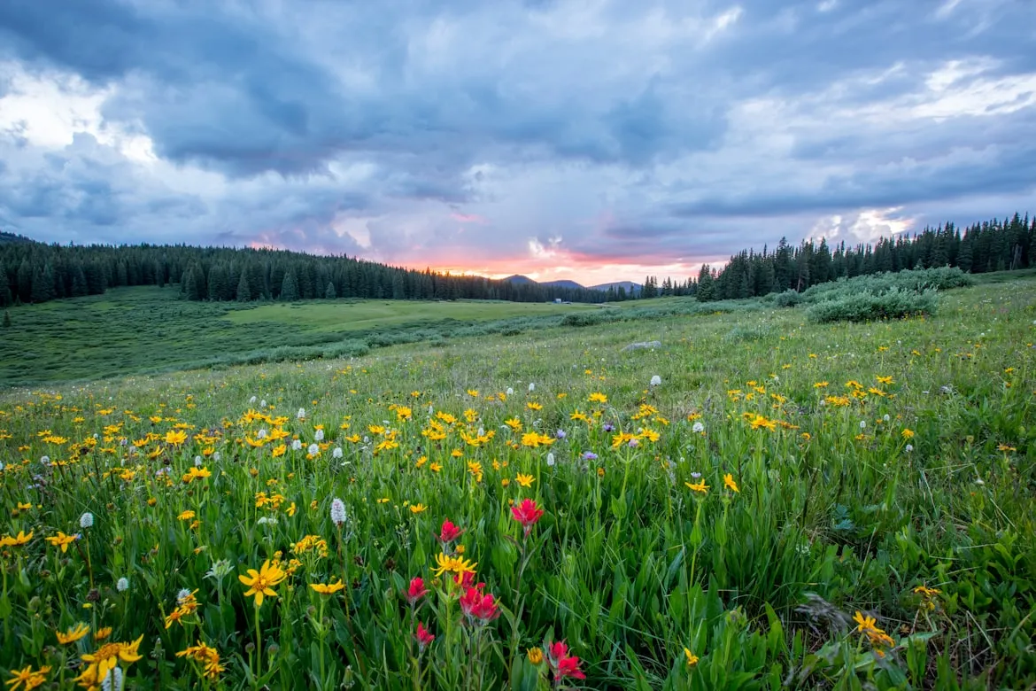 Joel Holland from Unsplash