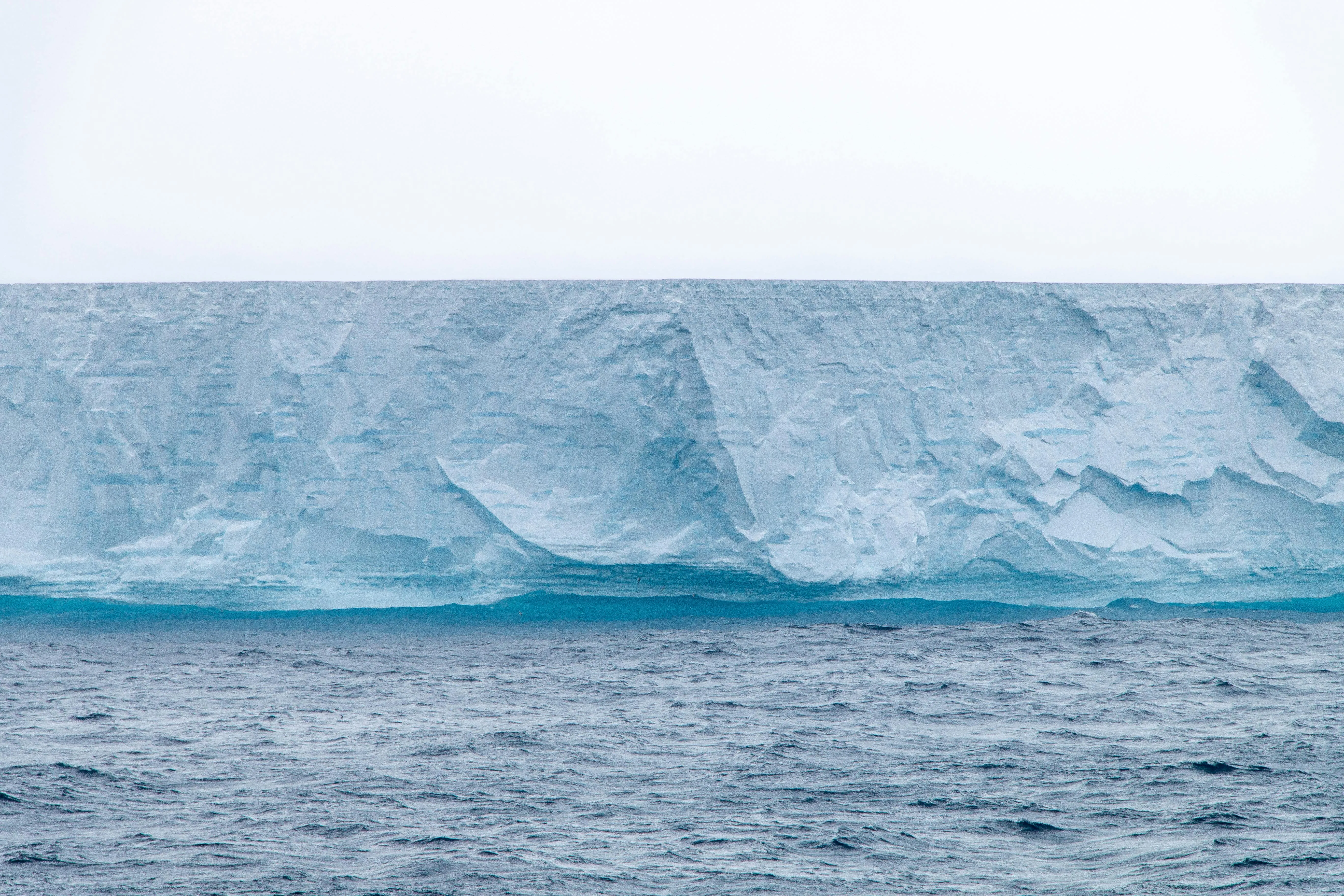 ArcticDesire.com Polarreisen on Pexels