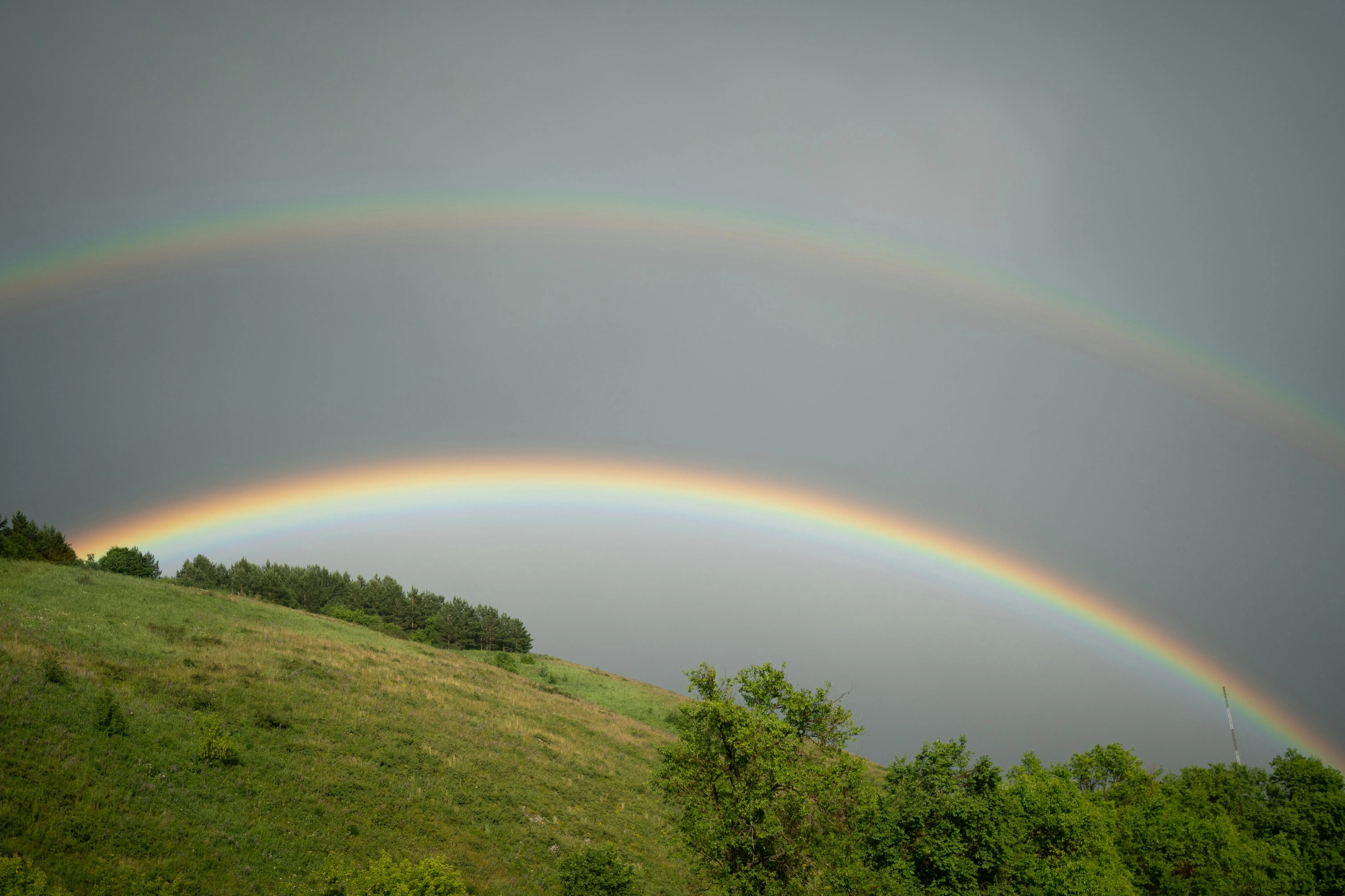 Dmitriy Piskarev on pexels
