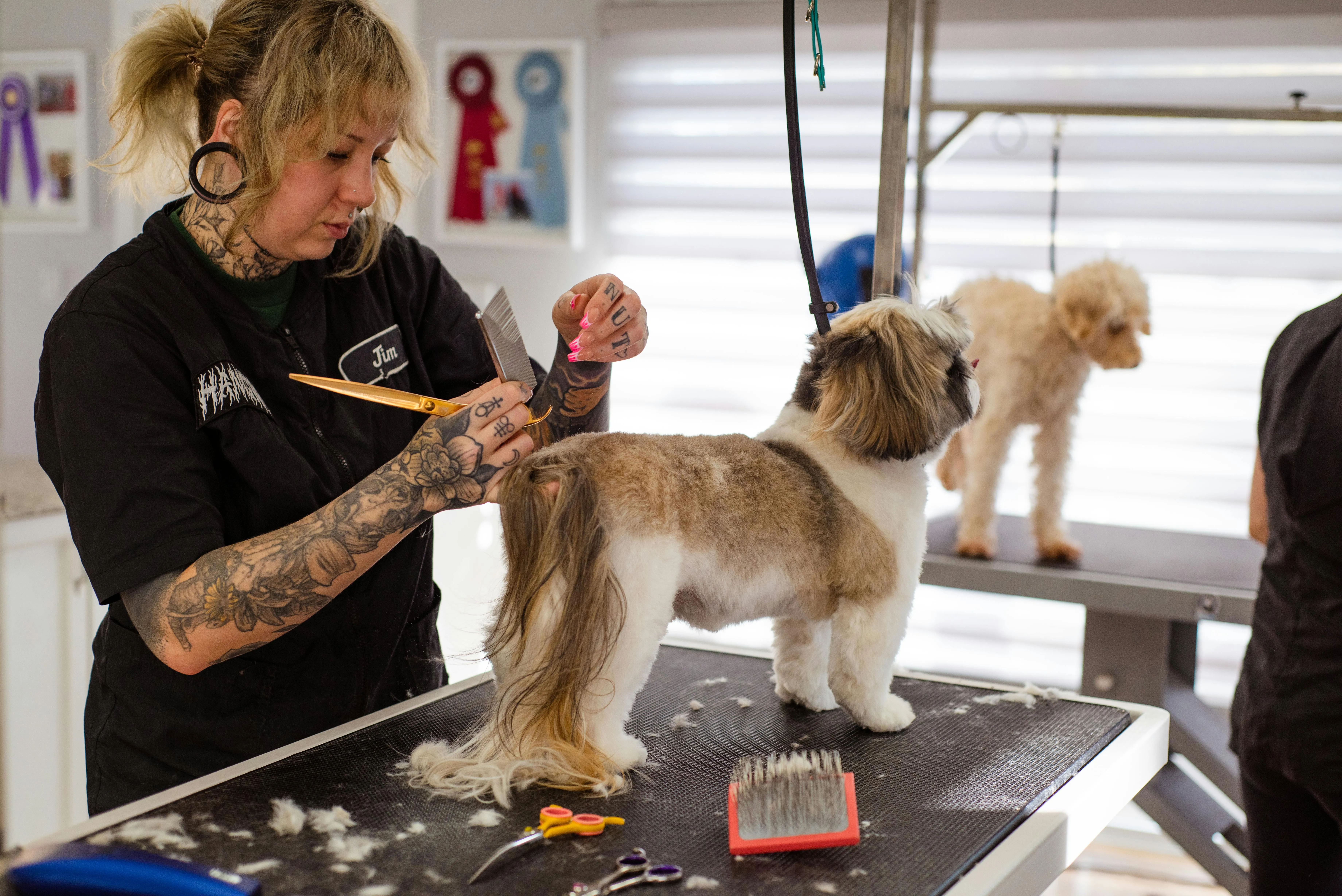 Goochie Poochie Grooming on Pexels