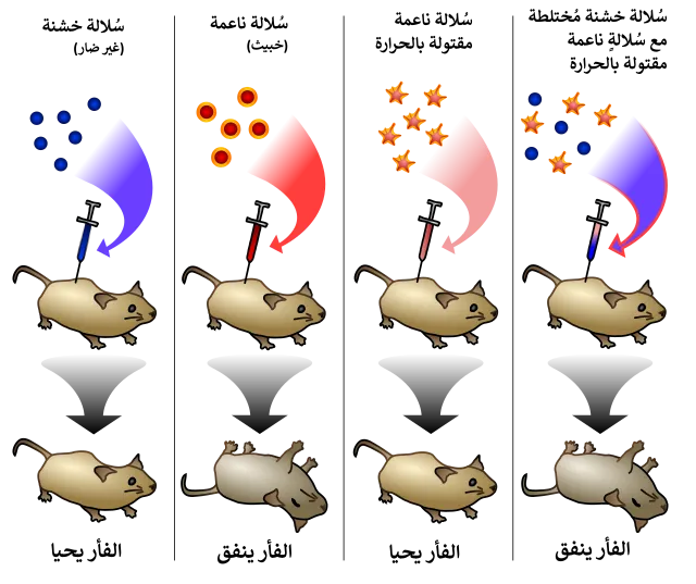 Madprime on Wikimedia Commons