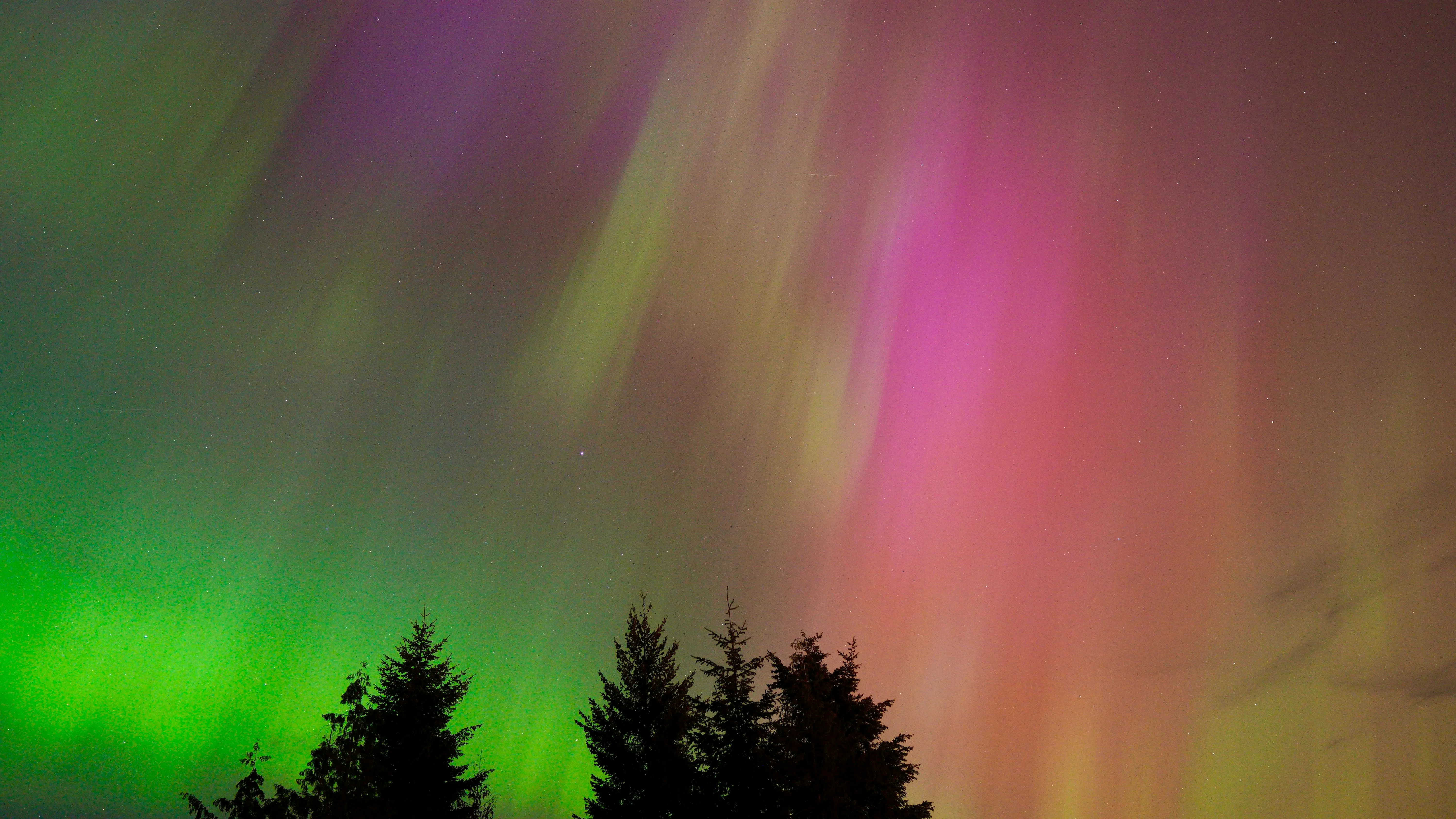 Jason Pittman on Pexels