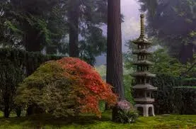 Image from Portland Japanese Garden 