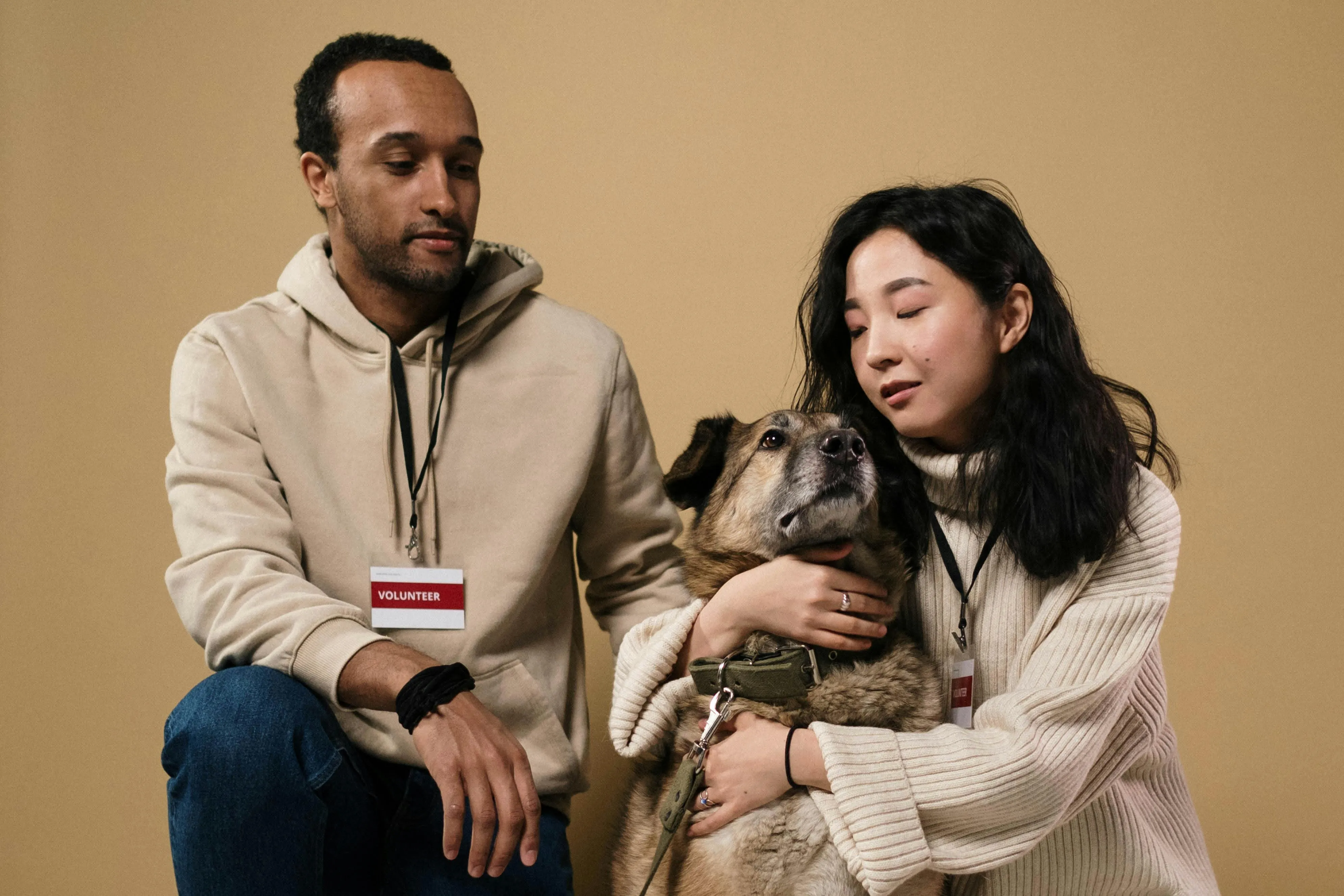 cottonbro studio on Pexels