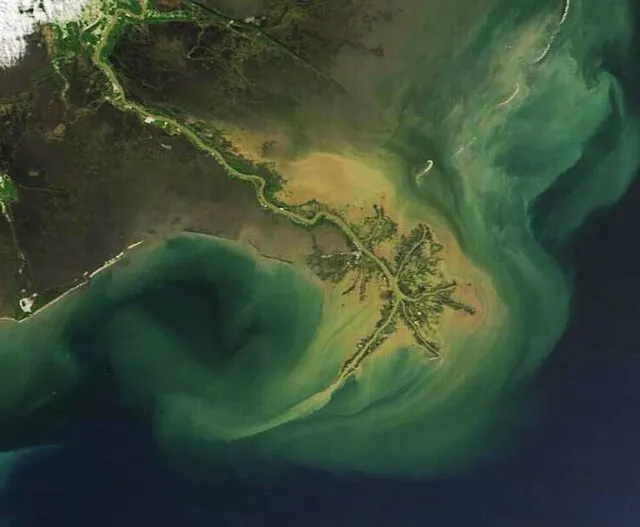 MODIS Land Rapid Response Team, NASA GSFC on wikimedia